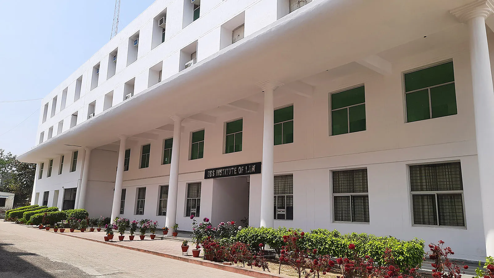 Institute