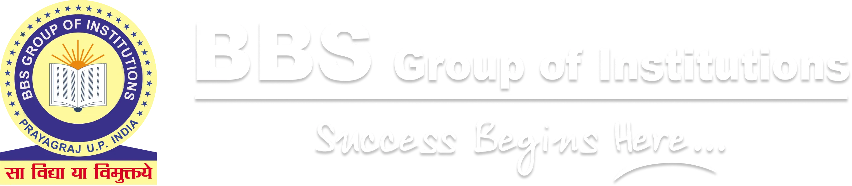 Logo BBS Reverse